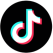 Torrey en Tik Tok